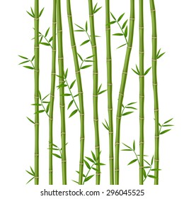 Green bamboo with leaves isolated on white background