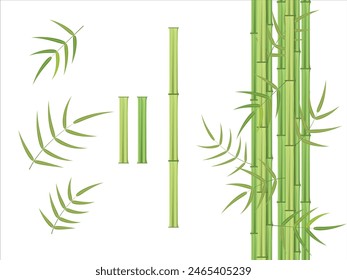 Green bamboo and leaves vector element set