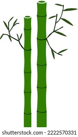 green bamboo with its leaves vector illustration