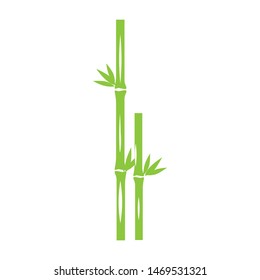 green bamboo logo vector illustration