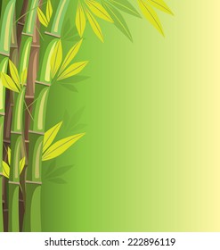Green bamboo on green background with shadows