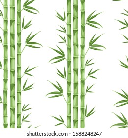 Bambú verde sobre un fondo blanco sin fisuras. Ilustración vectorial de tallos verdes y hojas de bambú en estilo plano de caricatura.