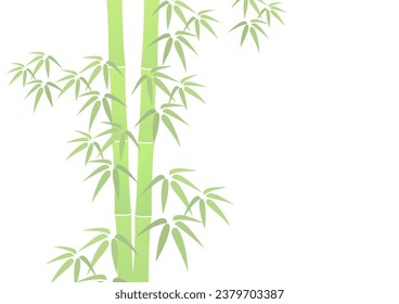 Green bamboo on white background