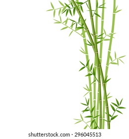 Green bamboo on white background, vector illustration