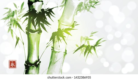 Green bamboo on white glowing background.Traditional Japanese ink wash painting sumi-e.  Hieroglyph - eternity