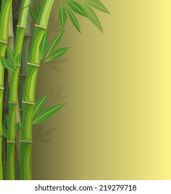 Green bamboo on yellow background with shadows