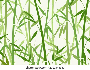 Green bamboo pattern. Bamboos horizontal seamless background, chinese natur vector wallpaper, asian tree zen backdrop on white illustration