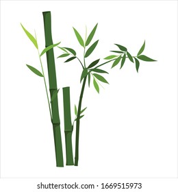 green bamboo plants simple vector design