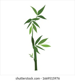 green bamboo plants simple vector design