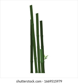 green bamboo plants simple vector design