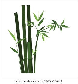 green bamboo plants simple vector design