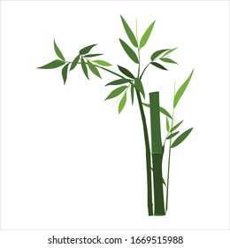 green bamboo plants simple vector design