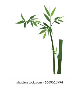 green bamboo plants simple vector design