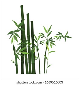 green bamboo plants simple vector design