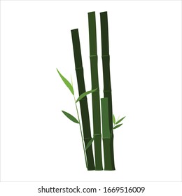 green bamboo plants simple vector design