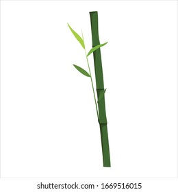 green bamboo plants simple vector design