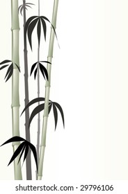 Green bamboo shoots on tranquil green background