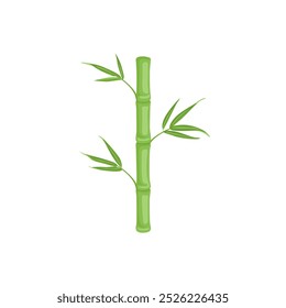 Green bamboo stalk with leaves. Vector cartoon flat illustration.