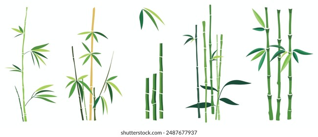 Green bamboo stalks and leaves, ideal for decorating nature-inspired and asian-themed designs