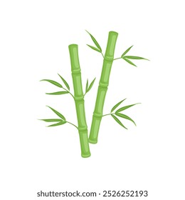 Green bamboo stalks with leaves isolated on white background. Vector cartoon flat illustration.