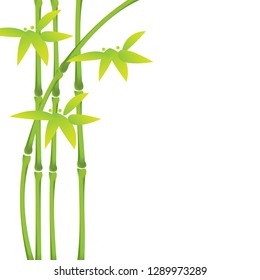 Green bamboo stalks and leaves on a white background with copy space. Vector illustration. eps10
