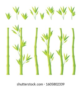 Green Bamboo stalks and leaves vector icons. Asian zen plants isolated on white background. Stick bamboo with flat cartoon design