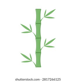 Green bamboo stalks and leaves vector illustration. Green bamboo stalks and leaves in flat design style. Green bamboo stalks plant illustration