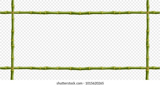 Green bamboo steam frame isolated on transparent background. Vector template for signboard, poster, banner creative desogn. Realistic plant poles or sticks border with space for text.