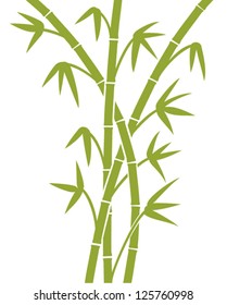 green bamboo stems 