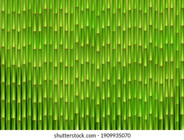 Green bamboo stems background vector.