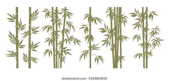 Tallos de bambú verde. Siluetas de bosque de selva, ramas de bambú con hojas, brotes de bambú decorativo vector plano conjunto de ilustración. Árboles de bambú en blanco