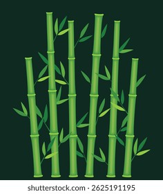 Green bamboo stems. Jungle forest silhouettes, bamboo branches with leaves, decorative bamboo shoots. Bamboo trees on white.
