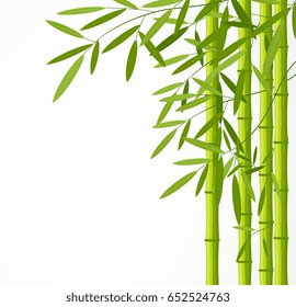 Green bamboo stems with leaves isolated on white background.