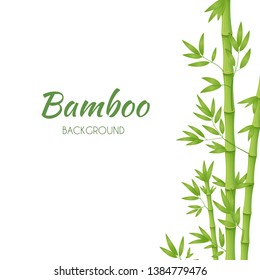 Green bamboo stems with green leaves on a white background. Vector illustration.