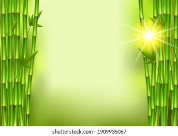 green bamboo stems and leaves on background with copy space