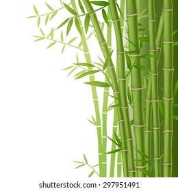 Green bamboo stems with leaves on white background