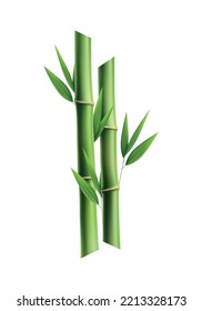 Green bamboo stems with leaves realistic vector illustration