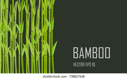 Green bamboo stems on dark background.