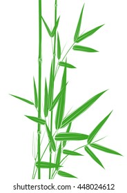 green bamboo stems on white background vector illustrator
