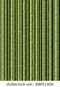 Fondo de patrón de bambú verde. Ilustración vectorial.