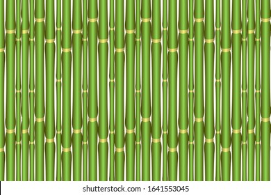 Green bamboo sticks background vector illustration for banner, label, cover or web page.