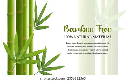 Green bamboo sticks with leaves. Bamboo background with place for text. Vector realistic illustration.