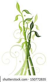 Green bamboo tendril with swirls. Wellness vector design.