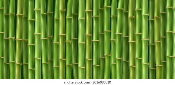 Green bamboo texture. Oriental grass fence horizontal seamless pattern, vector bamboos wood wall background, forest tree asian jungle tropical repeating wallpaper