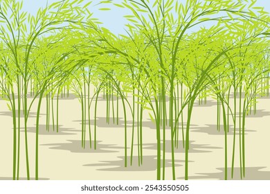 Green bamboo tree forest illustration