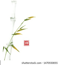 Green bamboo tree hand drawn with ink in minimalist style on white background. Traditional oriental ink painting sumi-e, u-sin, go-hua. Hieroglyph - zen.