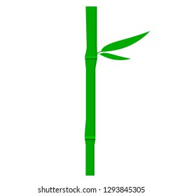 green bamboo tree with leaves isolated on white background; vector illustration 