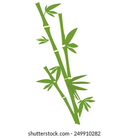 Green bamboo tree vector isolated on white, bamboo branch and leaves