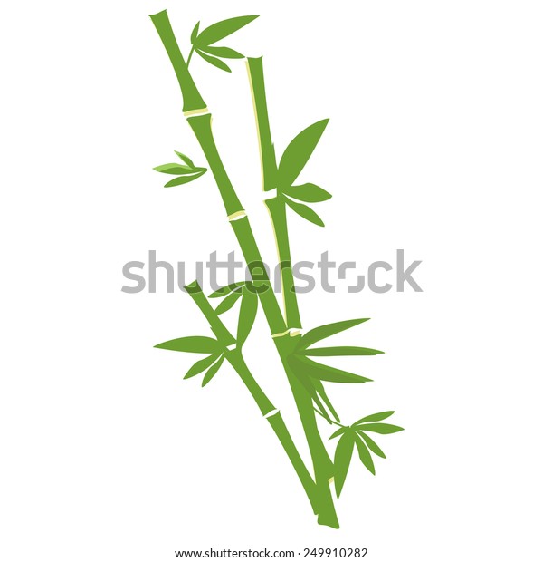 Green Bamboo Tree Vector Isolated On Stock Vector (Royalty Free) 249910282