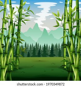 Green bamboo trees background inside the forest